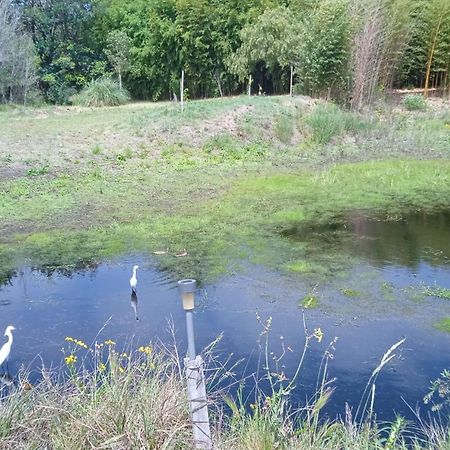 Pilmaiquen Villa Riachuelo Bagian luar foto