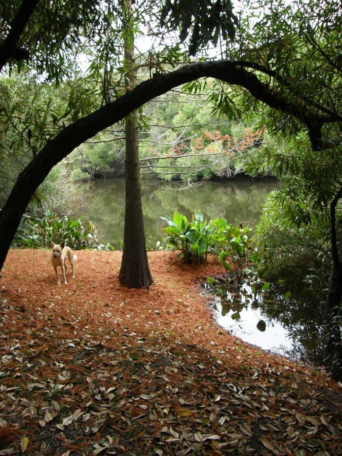 Pilmaiquen Villa Riachuelo Bagian luar foto