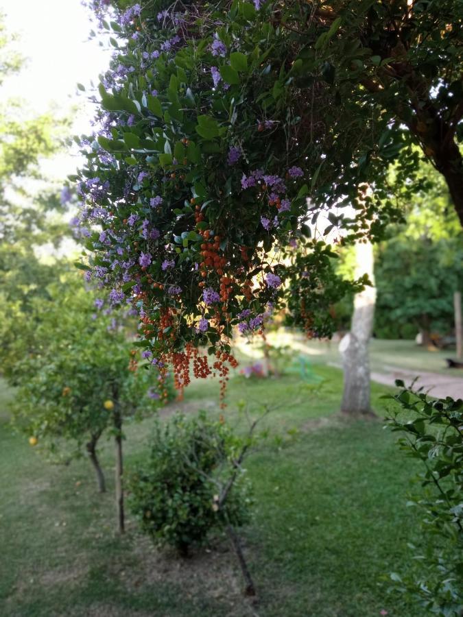 Pilmaiquen Villa Riachuelo Bagian luar foto