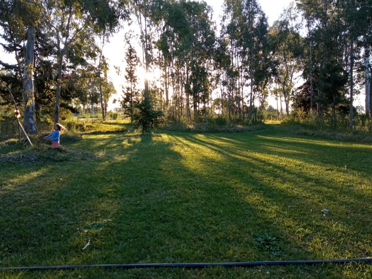 Pilmaiquen Villa Riachuelo Bagian luar foto