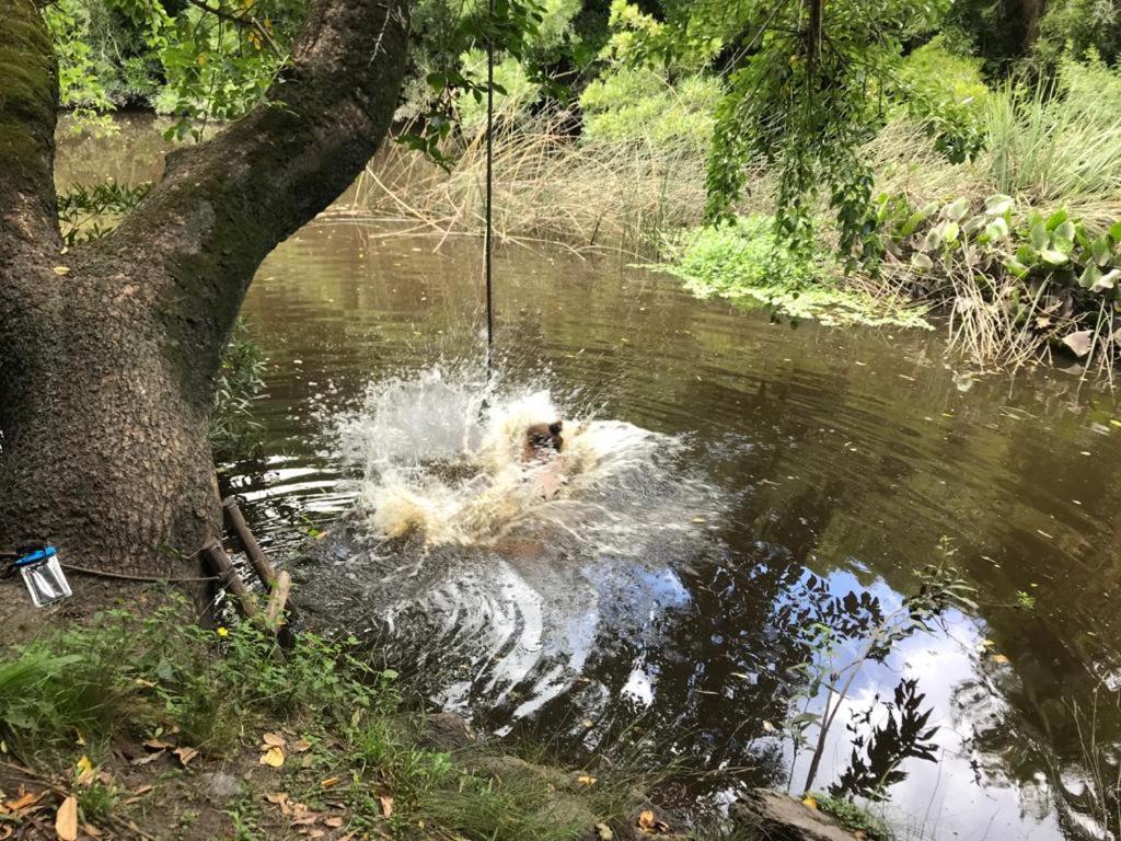 Pilmaiquen Villa Riachuelo Bagian luar foto
