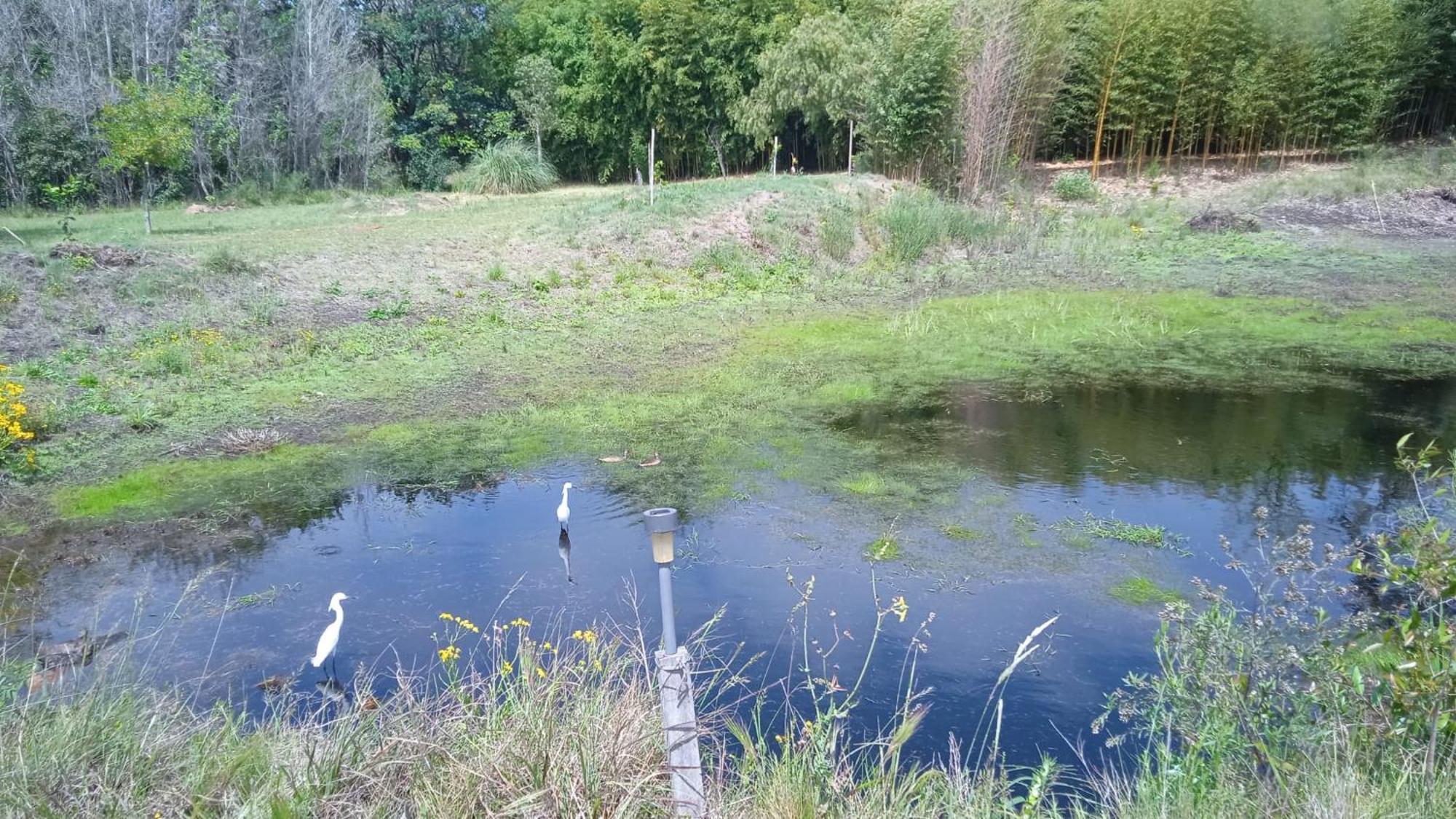 Pilmaiquen Villa Riachuelo Bagian luar foto