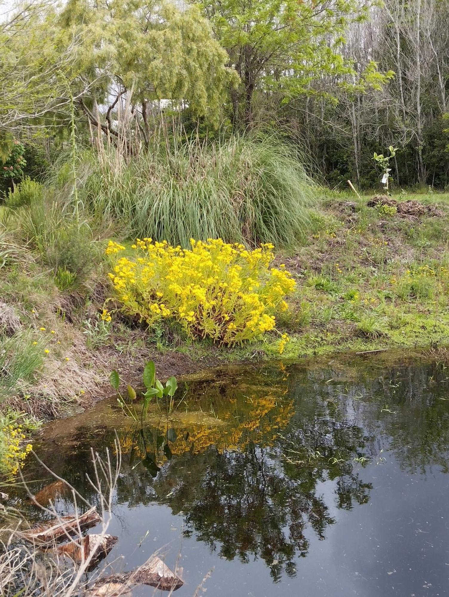 Pilmaiquen Villa Riachuelo Bagian luar foto