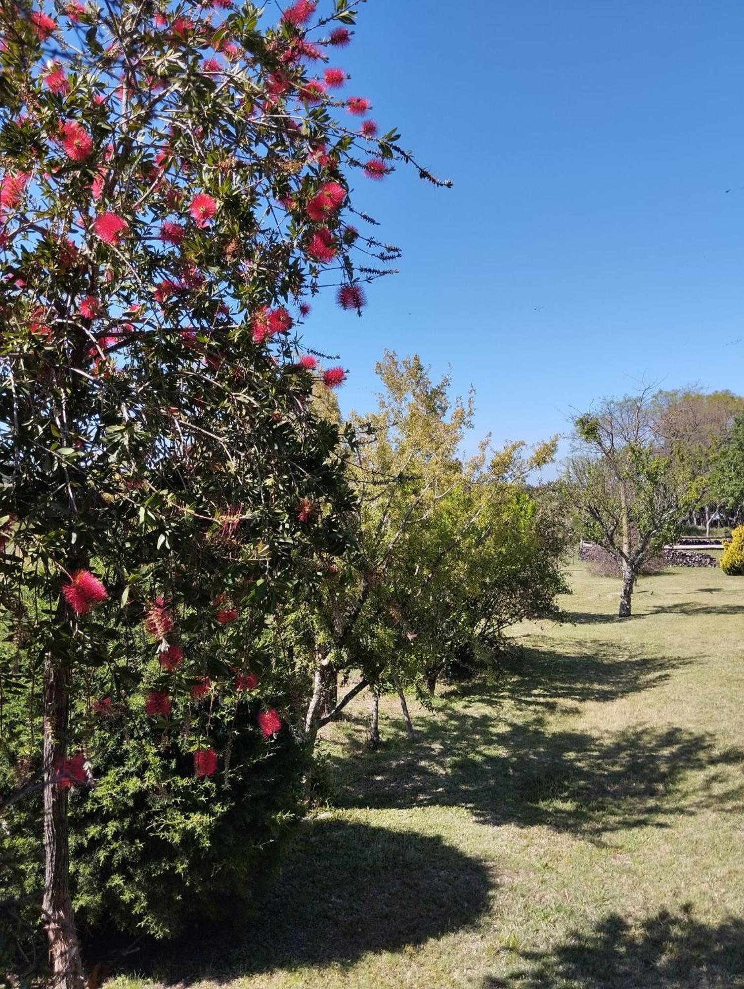 Pilmaiquen Villa Riachuelo Bagian luar foto