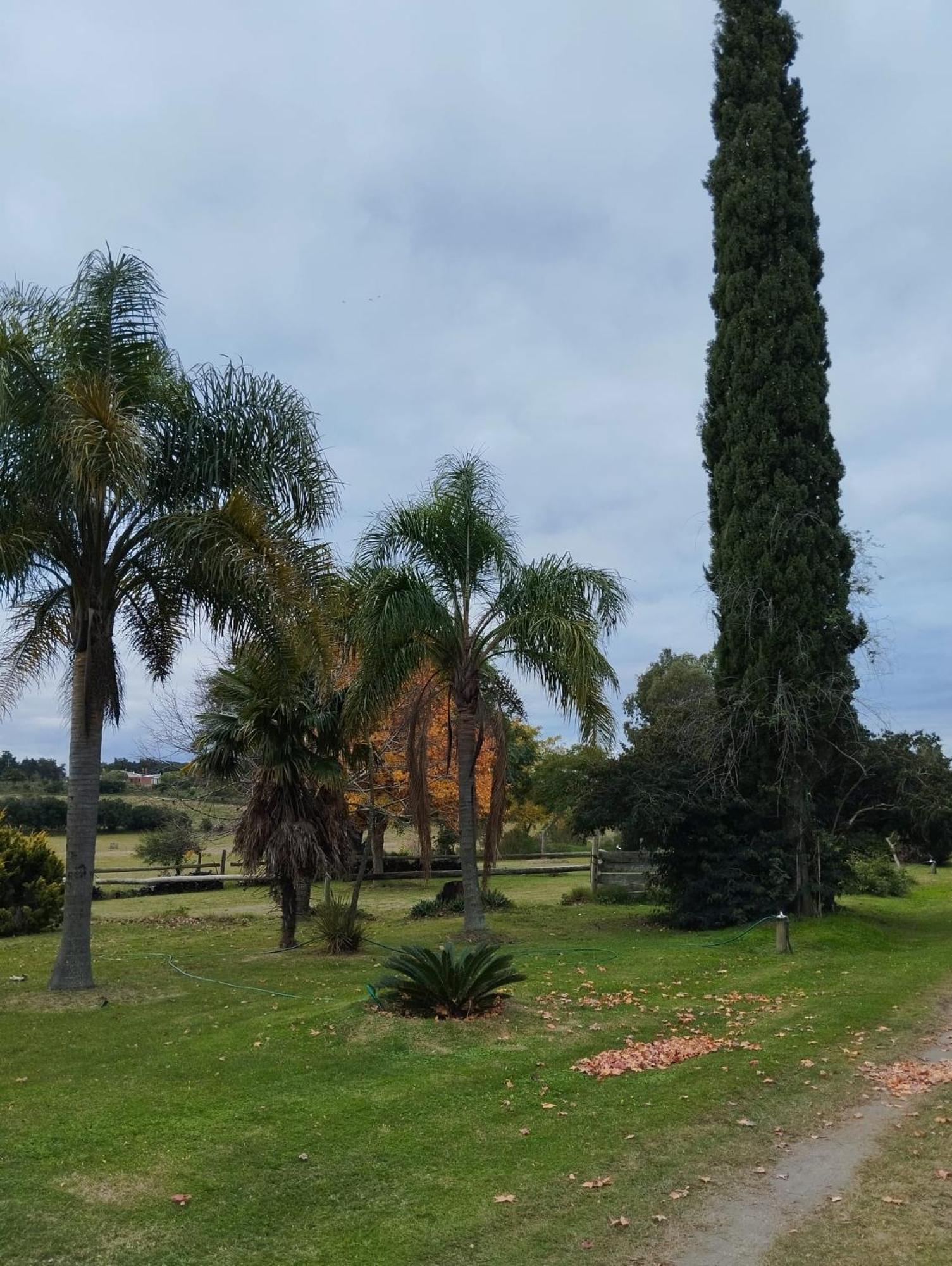 Pilmaiquen Villa Riachuelo Bagian luar foto